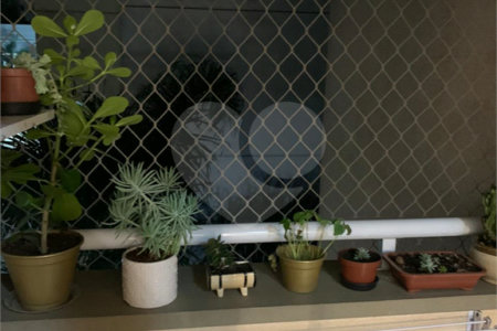 Apartamento à venda com 2 quartos em Paraisópolis, São Paulo, SP