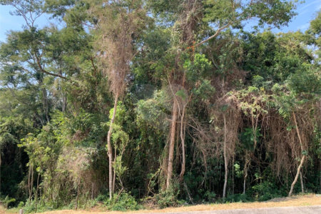 Casa à venda com 4 suítes no condomínio Reserva São Nicolau, Atibaia - SP