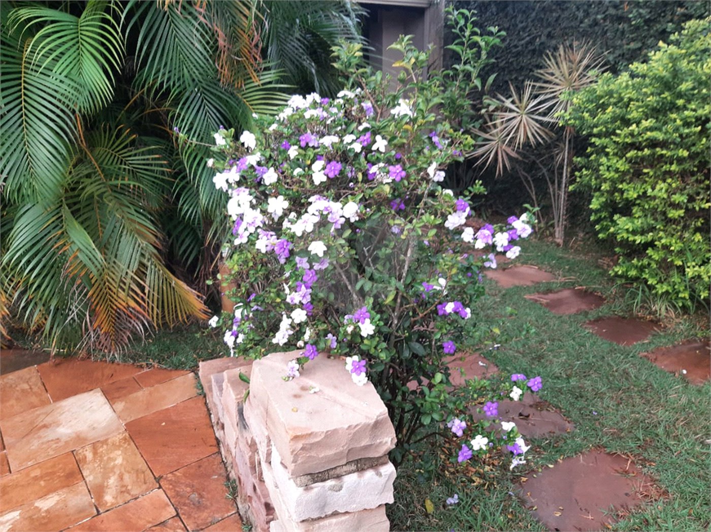 Casa à venda com 2 suítes em Jardim Eliana, Araraquara, SP