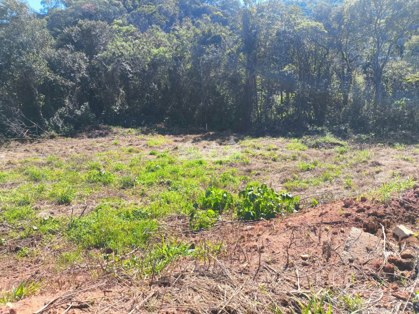 Terreno, 360 m² - Foto 1
