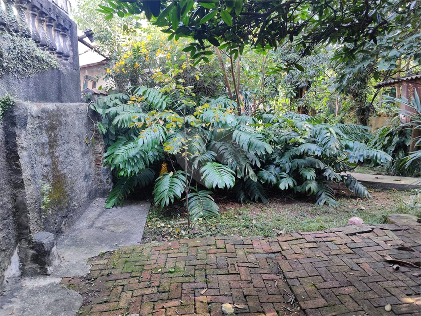 Terreno à venda em Tucuruvi, São Paulo, SP