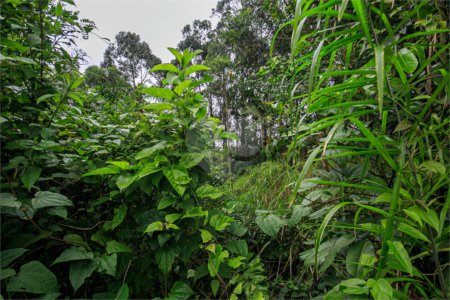 Terreno à venda em Morumbi, São Paulo, SP