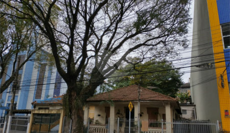 Terreno à venda em Vila Guilherme, São Paulo, SP