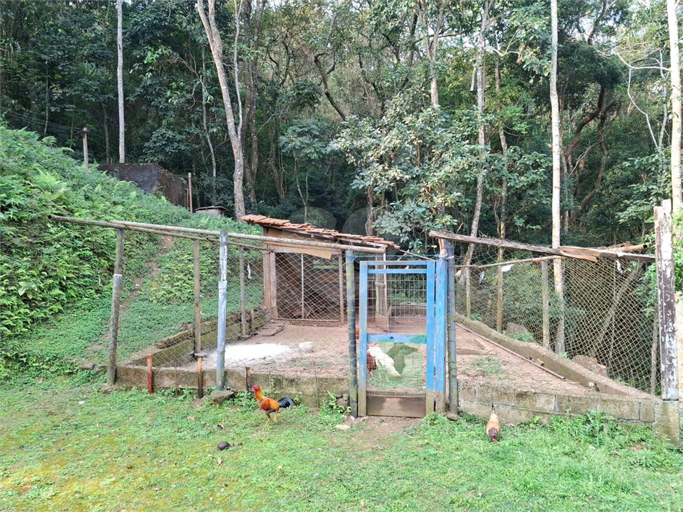 Sítio à venda com 3 quartos, sendo 1 suíte, em Bairro do Cambará, São Roque, SP
