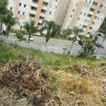 Terreno à venda em Vila Nova Socorro, Mogi das Cruzes, SP