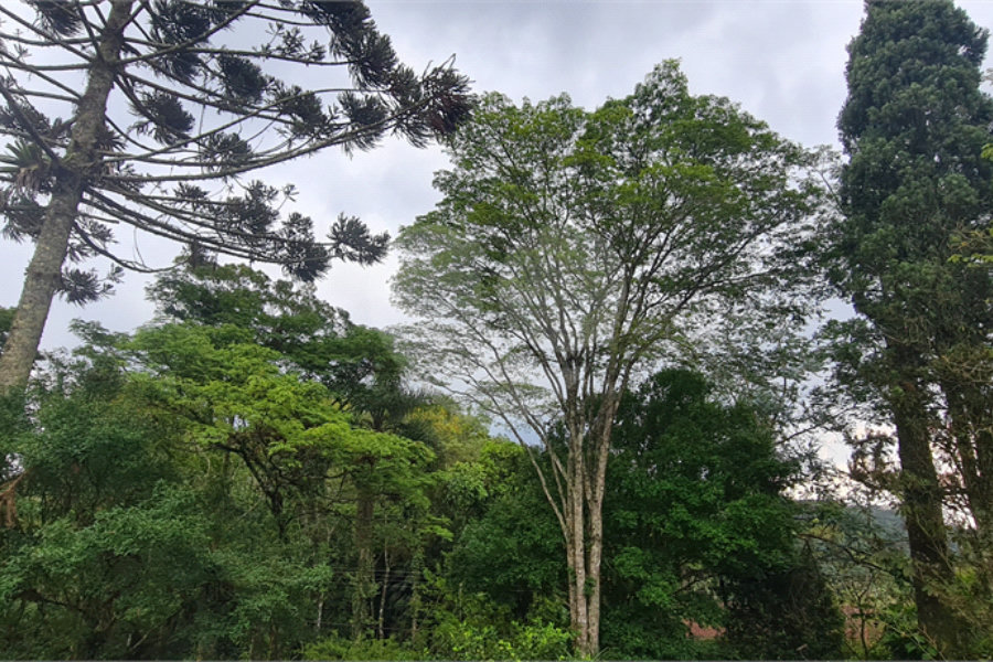 Casa à venda com 4 suítes no condomínio Jardim da Montanha I, Mairiporã - SP
