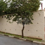 Sobrado à venda com 4 quartos, sendo 1 suíte,  em Vila Rosália, Guarulhos, SP