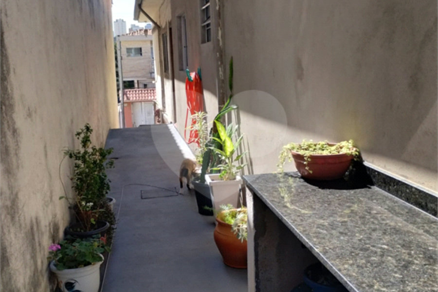 Terreno à venda com 1 quarto em Vila Isolina Mazzei, São Paulo, SP