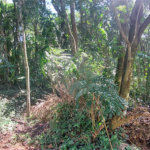 Terreno à venda no condomínio Sausalito, Mairiporã - SP