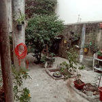 Casa Térrea à venda com 2 quartos em Vila Graziela, São Paulo, SP