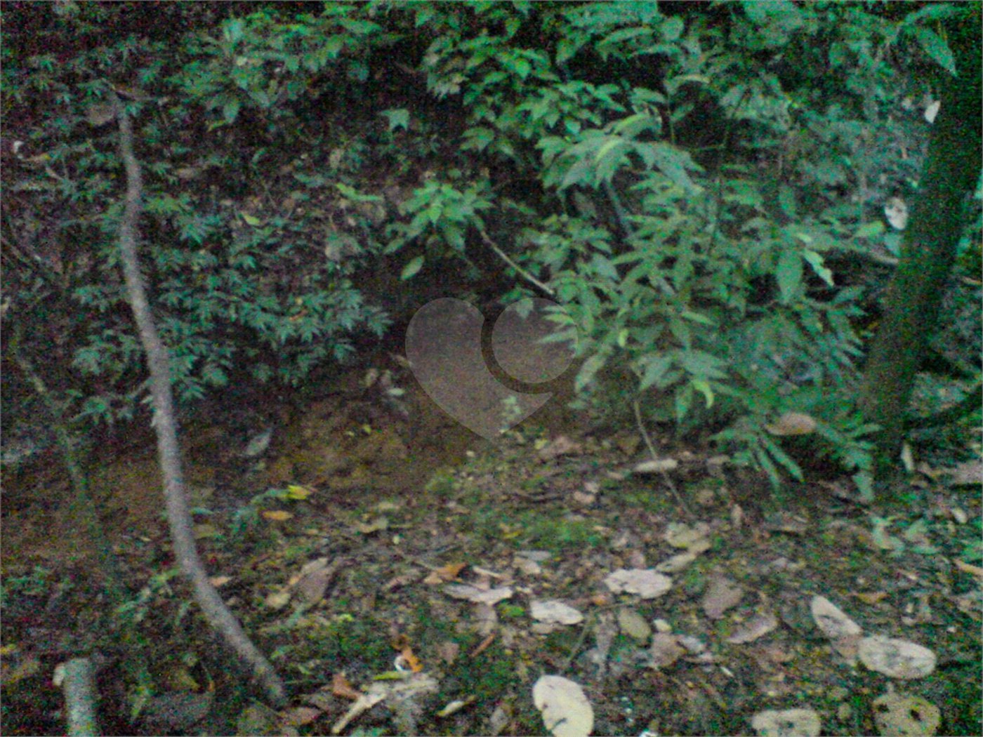 Sítio à venda com 1 quarto em Pirucaia, Mairiporã, SP