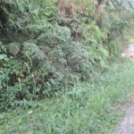 Terreno à venda no condomínio Associação Reserva das Hortênsias, Mairiporã - SP