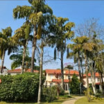 Casa à venda com 3 quartos, sendo 2 suítes, no condomínio Vila Borghese, São Paulo - SP
