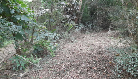 Terreno à venda em Chácaras Fernão Dias, Atibaia, SP
