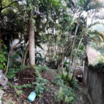 Terreno à venda em Tucuruvi, São Paulo, SP