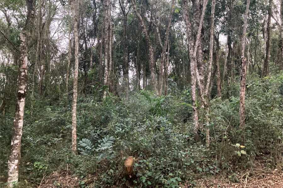 Terreno à venda no condomínio Alpes da Cantareira, Mairiporã - SP