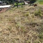 Terreno à venda no condomínio Recanto das Palmeiras, Jundiaí - SP