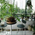Apartamento à venda com 3 quartos, sendo 1 suíte,  em Vila Andrade, São Paulo, SP