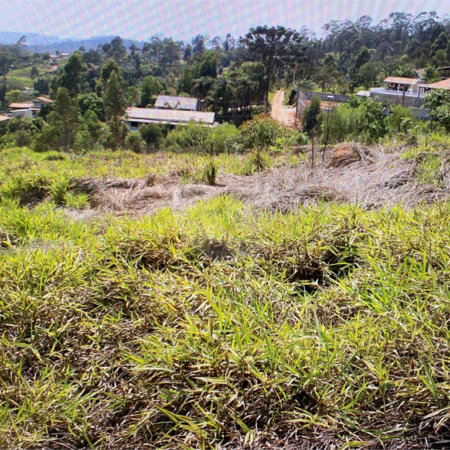 Terreno à venda em Pouso Alegre, Mairinque, SP