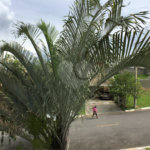 Casa à venda ou para alugar com 3 suítes no condomínio Recanto dos Paturis, Vinhedo - SP