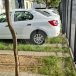 Apartamento à venda com 2 quartos em Jaçanã, São Paulo, SP