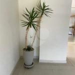 Apartamento à venda com 3 quartos, sendo 1 suíte, em Ipiranga, São Paulo, SP