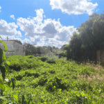 Terreno no Jardim Ricetti São Carlos - SP
