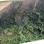 Casa à venda com 3 quartos, sendo 1 suíte, em Tremembé, São Paulo, SP