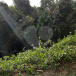 Terreno à venda no condomínio Cantareira, Mairiporã - SP