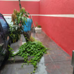Terreno à venda em Vila Medeiros, São Paulo, SP