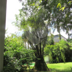 Casa à venda com 4 suítes em Jardim Guedala, São Paulo, SP