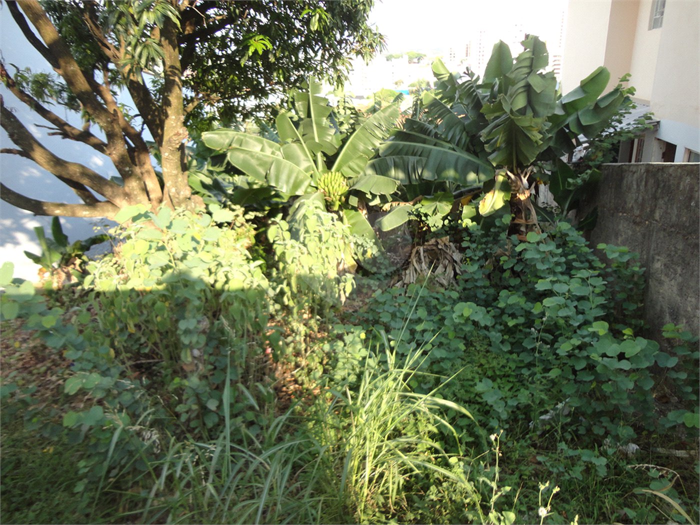 Terreno à venda em Vila São José, Valinhos, SP