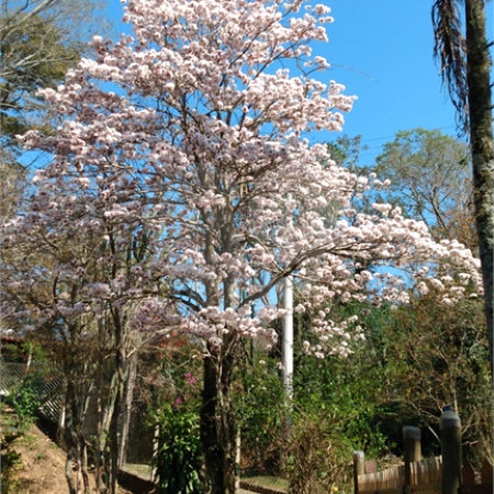Chácara à venda com 4 quartos em Pinheirinho, Atibaia, SP