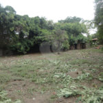 Terreno à venda em Pinheirinho, Vinhedo, SP