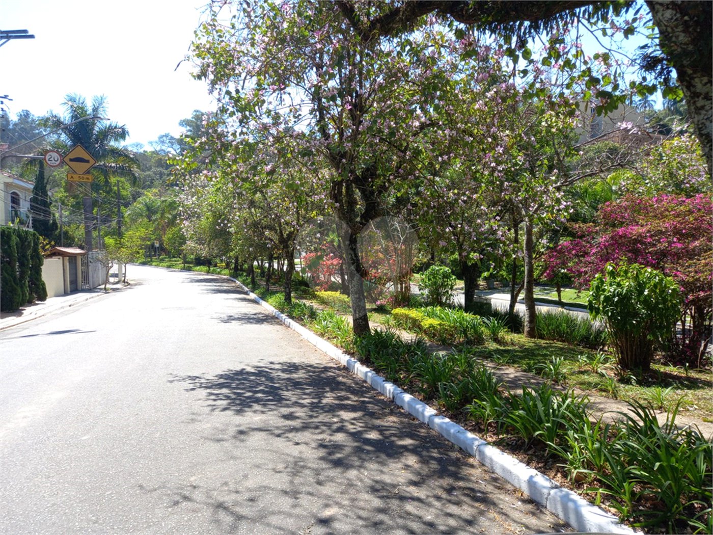 Terreno à venda em Vila Albertina, São Paulo, SP