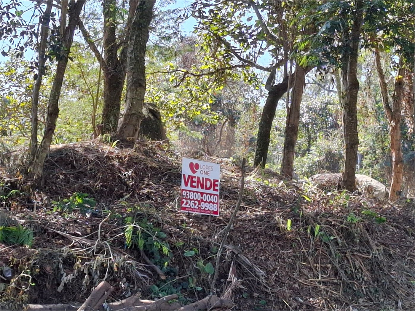 Terreno à venda em Horto Florestal, São Paulo, SP