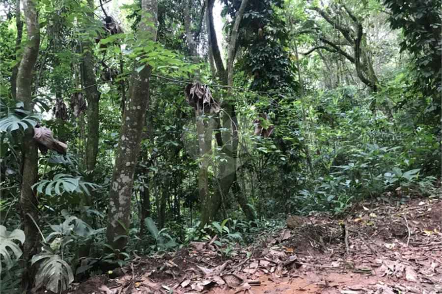 Terreno à venda em Serra da Cantareira, Mairiporã, SP