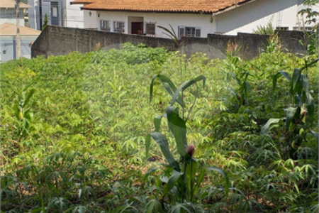 Terreno à venda em Jardim do Lago, Atibaia, SP
