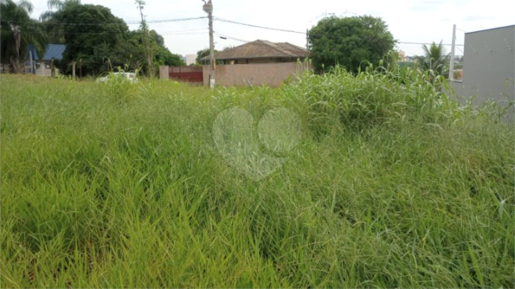 Terreno à venda em Pinheirinho, Vinhedo, SP
