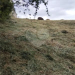 Terreno à venda em Chácara Terra Nova, Jundiaí, SP