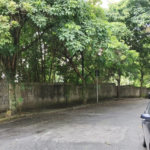 Terreno à venda em Vila Suzana, São Paulo, SP