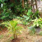 Terreno à venda em Casa Verde, São Paulo, SP