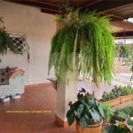 Chacara de Alto Padrao no Cafezal VI em Itupeva