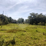 Terreno à venda em Campestre, Piracicaba, SP