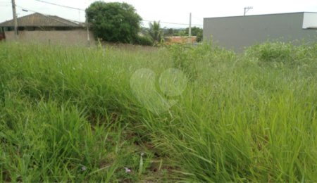 Terreno à venda em Pinheirinho, Vinhedo, SP