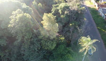 Terreno à venda em Jardim dos Estados, Ponta Porã, MS