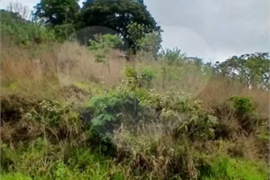 Terreno à venda em Luiz Fagundes, Mairiporã, SP