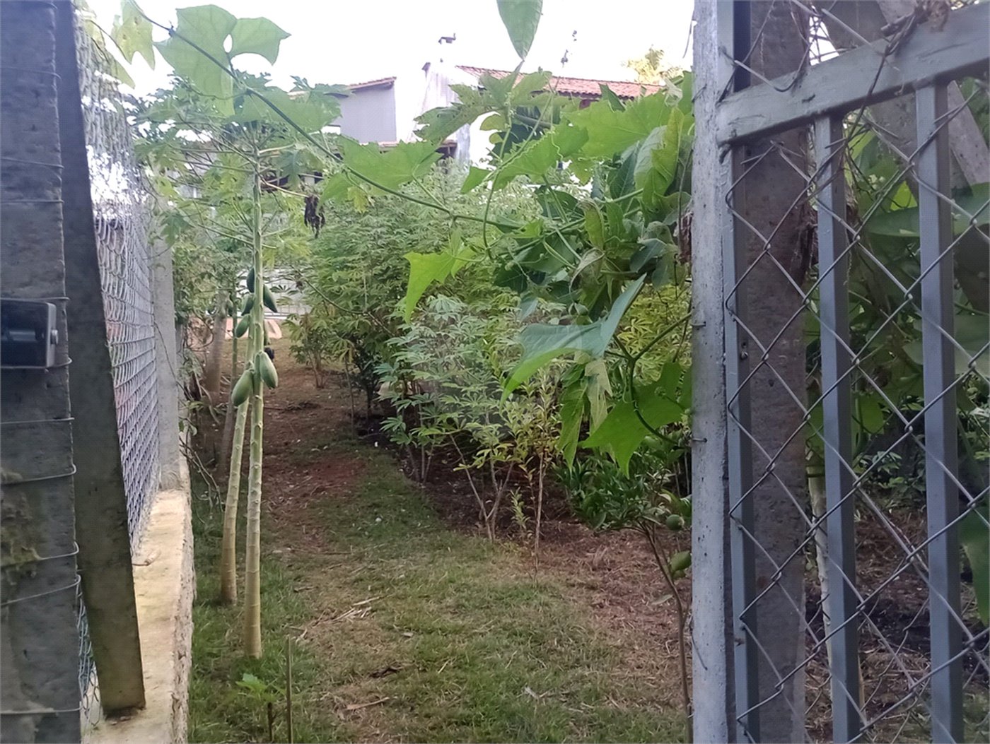 Chácara à venda com 5 quartos, sendo 1 suíte, em Jardim Marabá, Itapetininga, SP