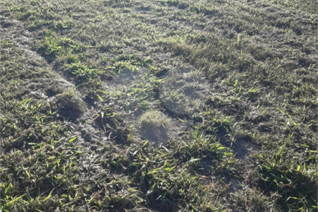Terreno à venda no condomínio Terras de Santa Izabel, Salto - SP