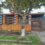 Casa à venda com 2 quartos, sendo 1 suíte, em Gaivota, Itanhaém, SP